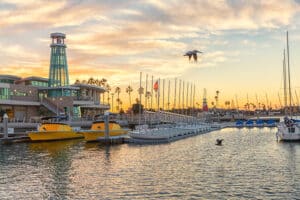 Foto Gallery Candock Italia